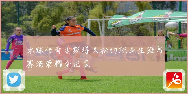 冰球传奇古斯塔夫松的职业生涯与赛场荣耀全记录