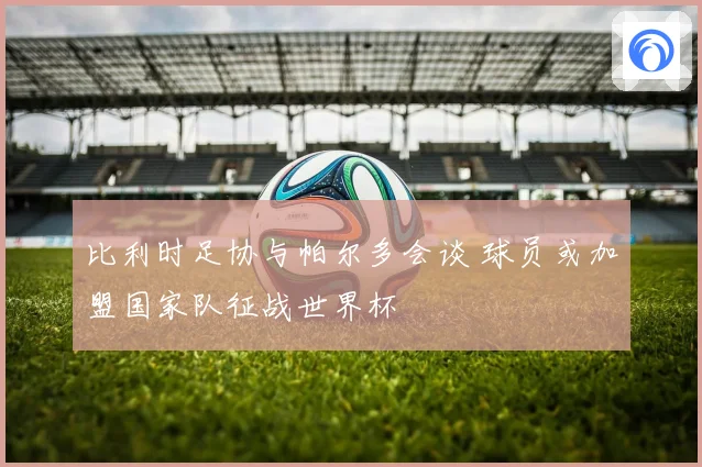 比利时足协与帕尔多会谈 球员或加盟国家队征战世界杯