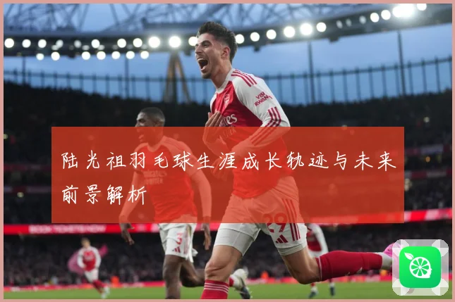 陆光祖羽毛球生涯成长轨迹与未来前景解析