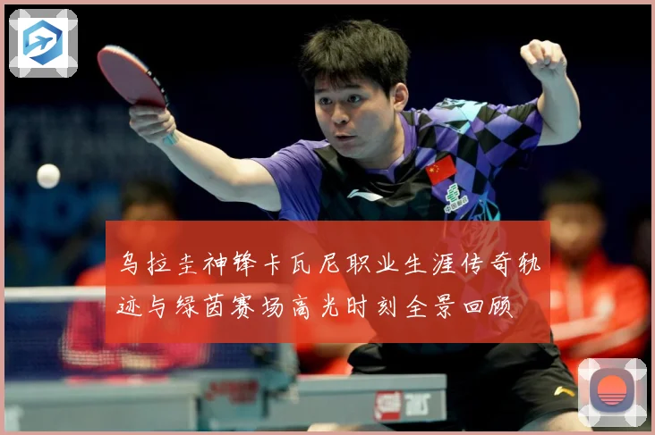 乌拉圭神锋卡瓦尼职业生涯传奇轨迹与绿茵赛场高光时刻全景回顾