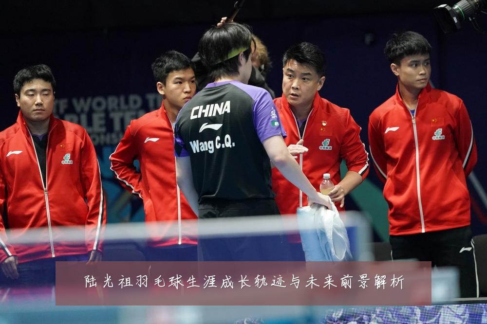 陆光祖羽毛球生涯成长轨迹与未来前景解析