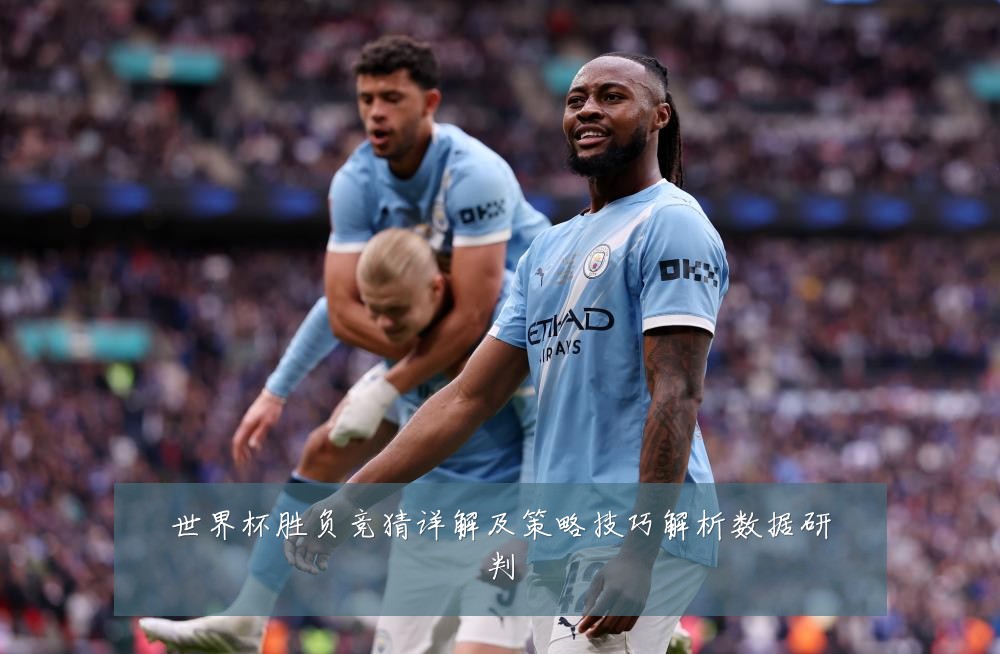 世界杯胜负竞猜详解及策略技巧解析数据研判